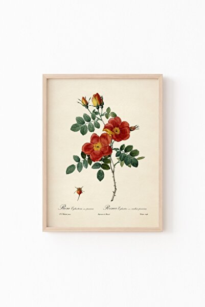 epiqart Çiçekler - Ahşap Desenli Çerçeve