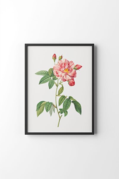 epiqart Flowers - Black Frame