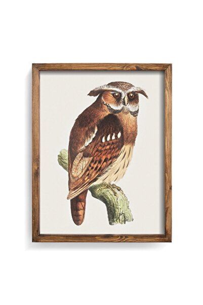 epiqart Owl - Wooden Patterned Frame