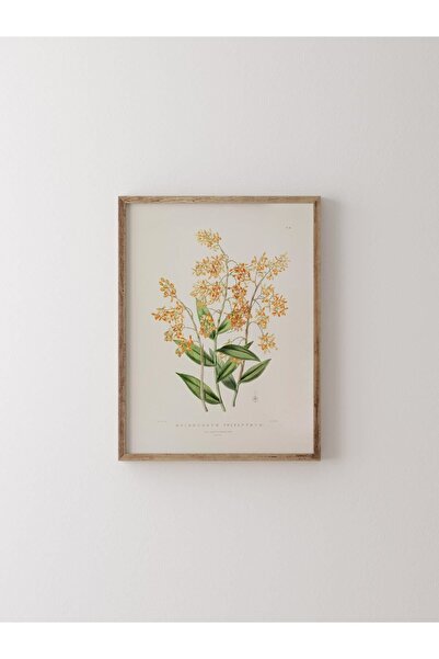 epiqart Epidendrum - Wooden Patterned Frame