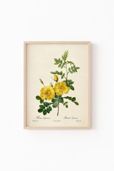 epiqart Çiçekler - Ahşap Desenli Çerçeve