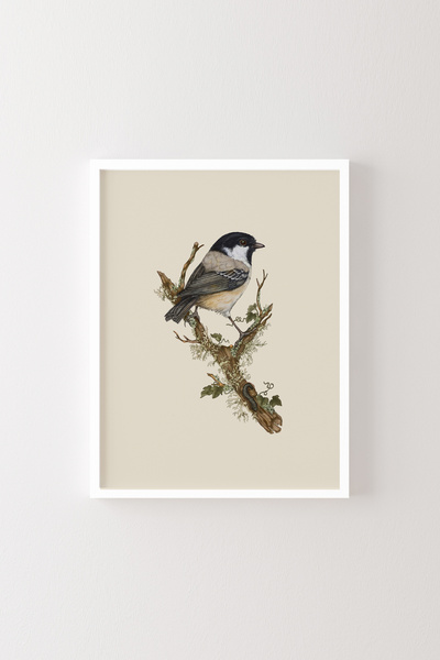 epiqart Σχέδιο πουλιού - Λευκός κορνίζας