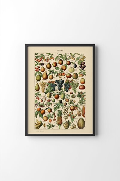epiqart Fruits - Siyah Çerçeve