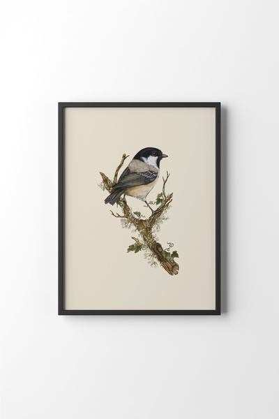 epiqart Kuş Çizim - Siyah Çerçeve