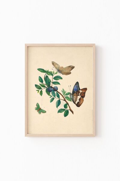 epiqart Cherries And Butterflies - Ahşap Desenli Çerçeve