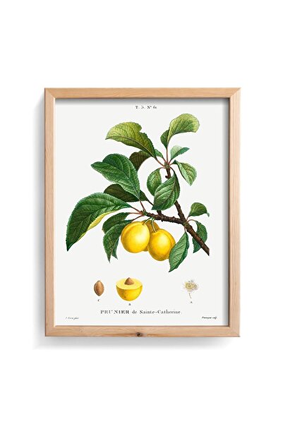 epiqart Prunıer - Ξύλινος κορνίζας με σχέδιο