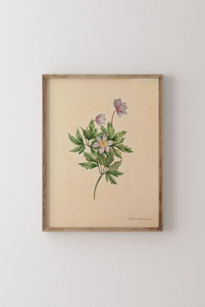 epiqart Άγρια Ανεμοστρόβιλος - Ξύλινο Πλαίσιο