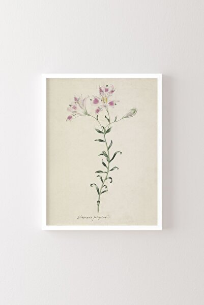 epiqart Lelie - Cadru alb