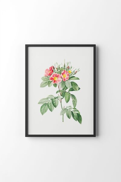 epiqart Flowers - Black Frame
