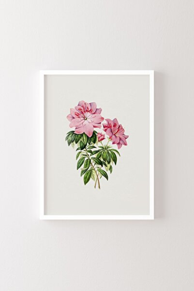 epiqart Λουλούδια - Λευκό Πλαίσιο