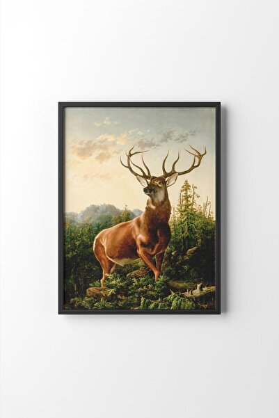 epiqart Deer in the Forest Landscape - Black Frame