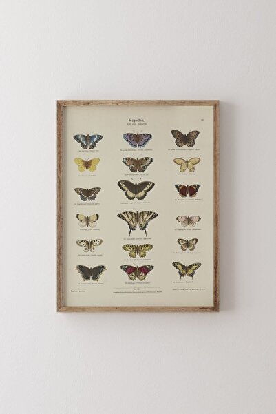 Butterflies - Wooden Patterned Frame
