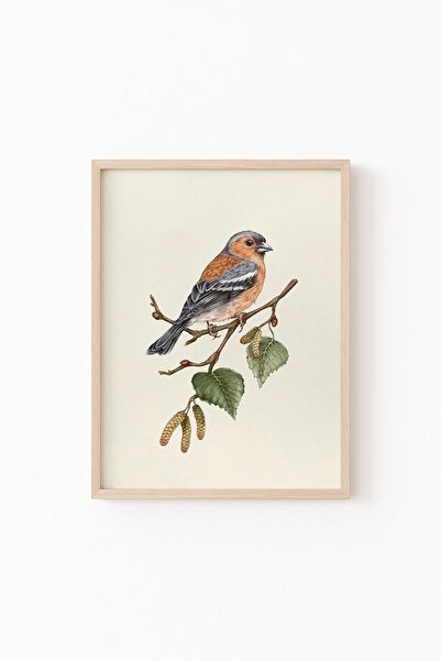 epiqart Kuş Çizim - Ahşap Desenli Çerçeve