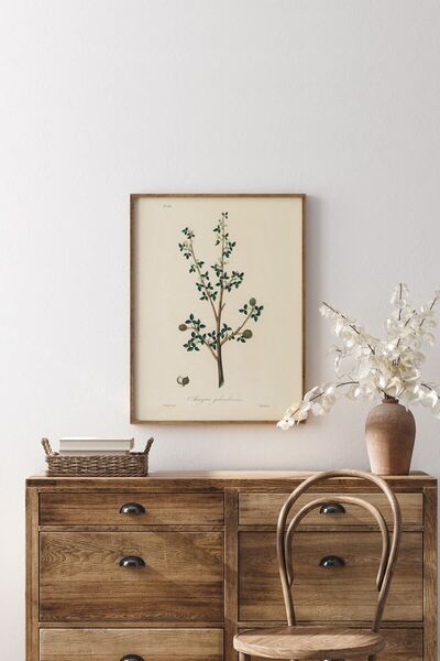 epiqart Amyris Gileadensis - Πλαίσιο φυτών με ξύλινο σχέδιο