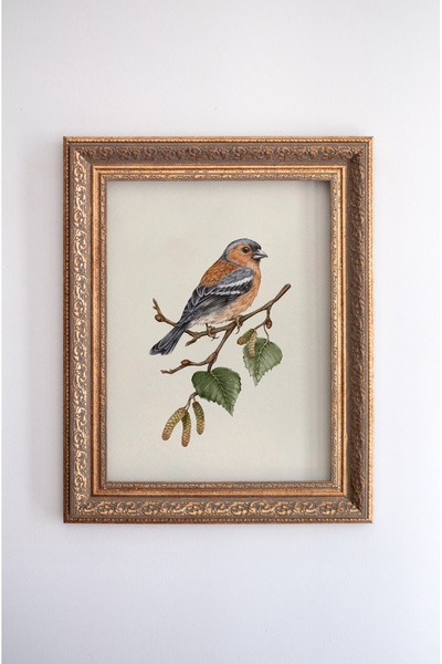 artflow Kuş Çizim - Çerçeve