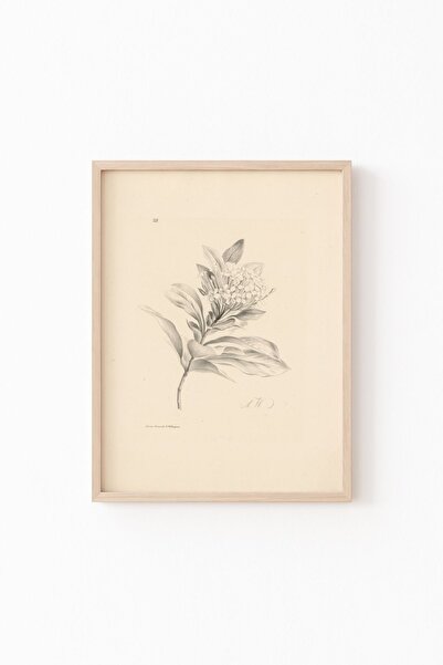 epiqart Hortensia - Ahşap Desenli Çerçeve