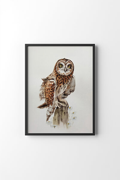 epiqart Owl - Black Frame