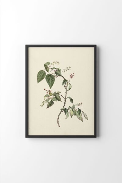 epiqart Flowers - Black Frame