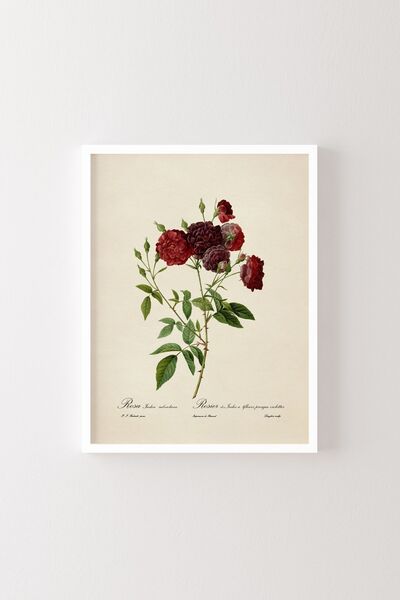 epiqart Flowers - White Frame