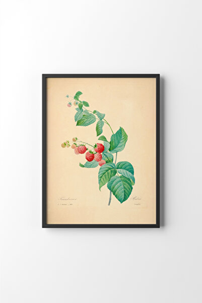 epiqart إطار بلاك بيري