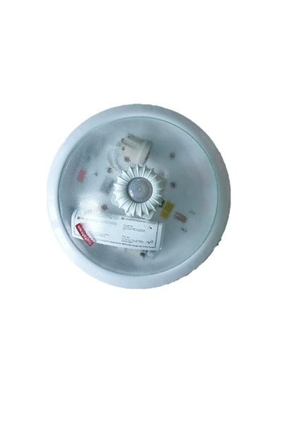 Netelsan Observer Ceiling Light 360 Degree with Moving Sensor