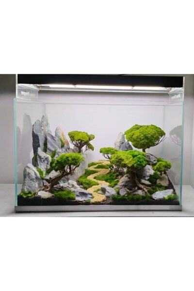 Marimo Scape Ağaç Figürü Moss Sarılı 's'