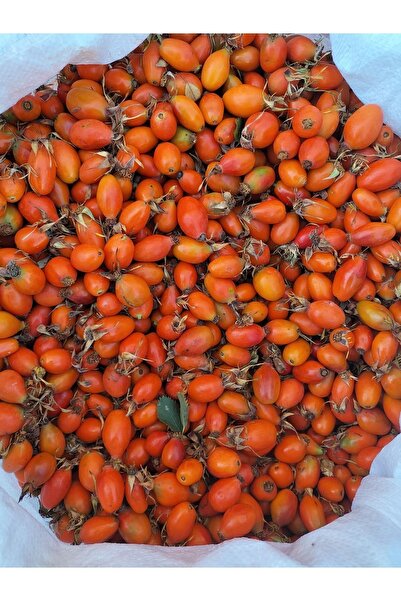 ERZURUM DOĞAL YÖRESEL ÜRÜNLER Erzurum doğal yöresel taze kuşburnu 1000gr