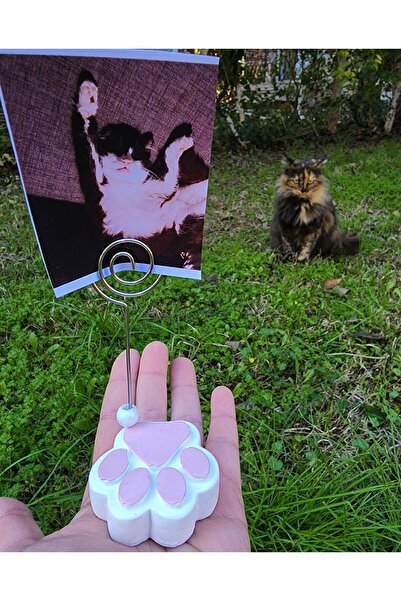 Rota Hediyelik Note Holder, Photo Holder, Cute Cat Dog Paw
