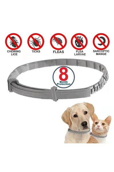 ebulduk Anti Flea Cat-Dog Collar - Tick Prevention