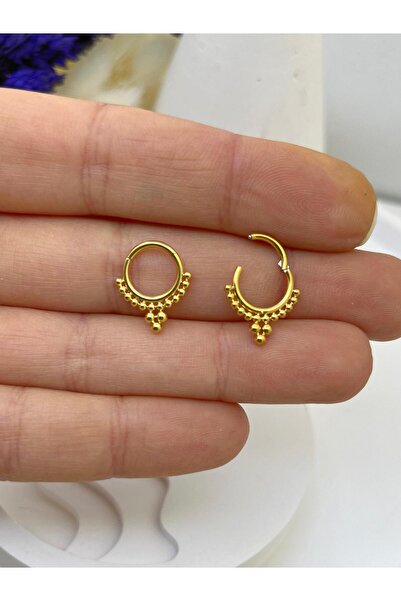 Arescollection CERRAHİ ÇELİK  DAİTH SEPTUM UYUMLU 1 ADET  MENTEŞELİ HALKA PİE...