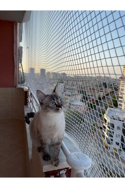 Netlife Kare Kesim 1mm 125*175cm Kedi Filesi Bahçe Filesi Kuş Filesi Balkon F...