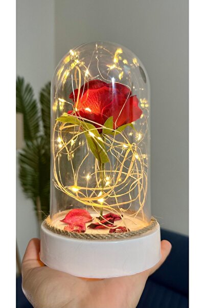 TOFY BUTİK Led Işıklı Gül Cam Fanus Beyaz Taban