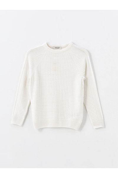 LC Waikiki Boy - Crew Neck Long Sleeve Sweatshirt