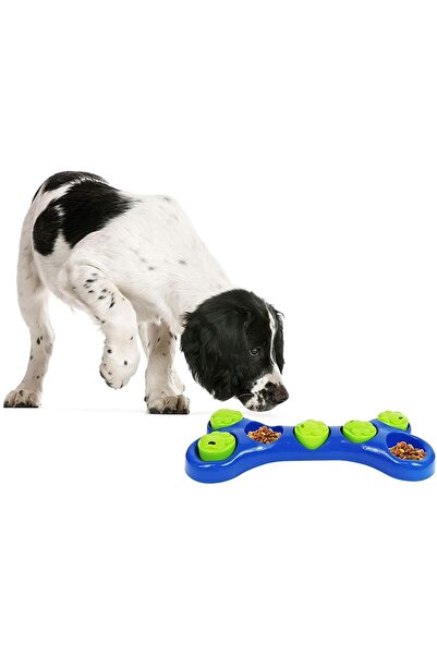 Boldy Köpek Eğitim Oyuncağı - Köpek Ödül Puzzle Oyuncağı -Köpek Zeka Oyunu-Köpek Eğlence Aktivite Oyuncağı