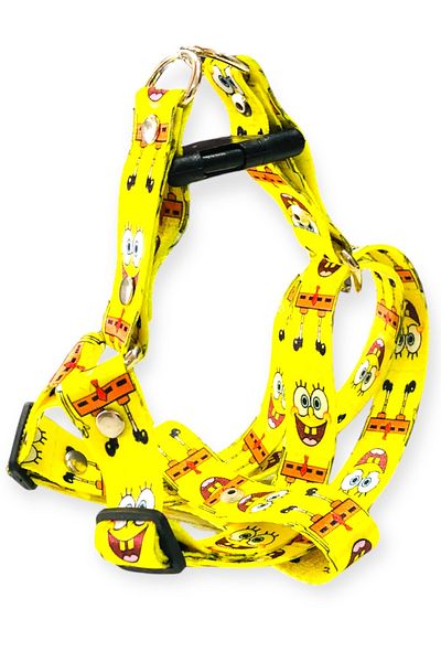 Angelapets Dog Collar (Chest Collar) Walking Strap Set