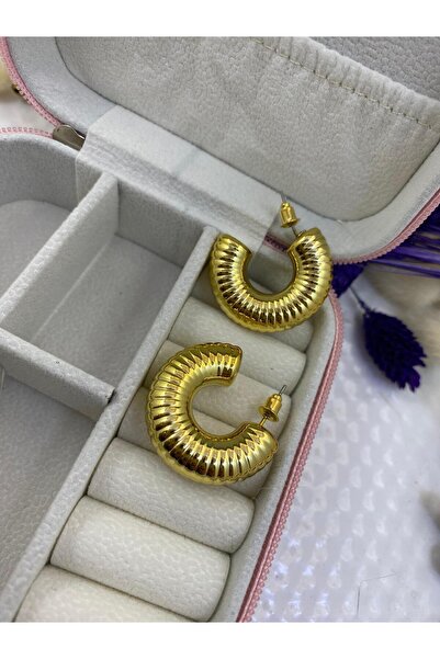 Arescollection أقراط دائرية سميكة للنساء من الفولاذ المقاوم للتشوه من سلسلة VIP