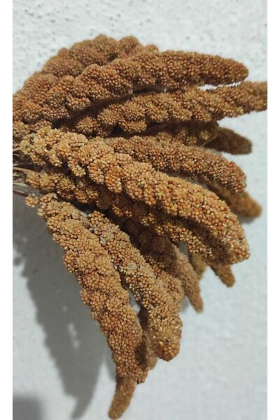 Genel Markalar Eren Pet Dal Darı Doğal Üretim Kızıl Dal Darı 250 gr