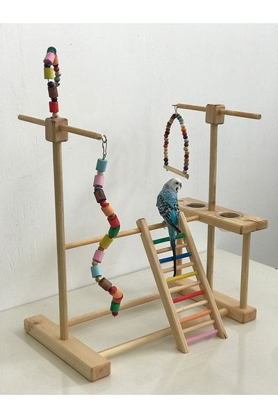 lata ahşap Bird Entertainment Track - Budgie, Paradise, Sultan, Sevda and Forpus Parrot