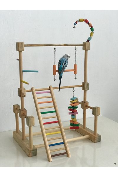 lata ahşap Bird Entertainment Track - Budgie, Paradise, Sultan, Sevda and Forpus Parrot