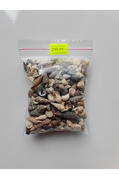Seashell Rio Minik Deniz Kabukları : Karışık / 200 Adet /1 Ila 2cm