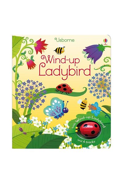 Usborne Ladybird Wind-up Shoes