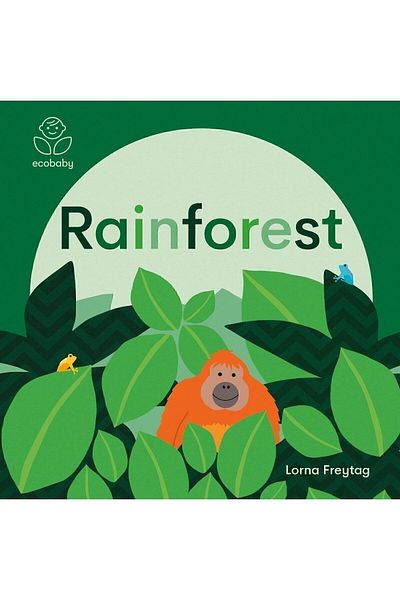 Templar Publishing Eco Baby: الغابات المطيرة| كتاب إنجليزي مصور للأطفال بعمر 0-3 سنوات