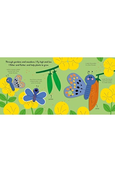 Pan Macmillan Butterfly (my Little Green World)