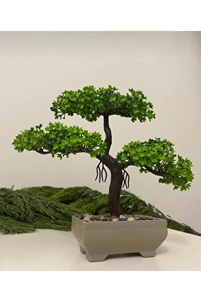 paris dünyası 1 Adet Masaüstü Kullanıma Uygun Yapay Yeşil Bonsai Ağacı
