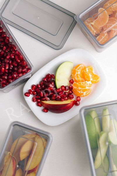ray plastik 4 Mini Storage Containers Smoked 600 ml