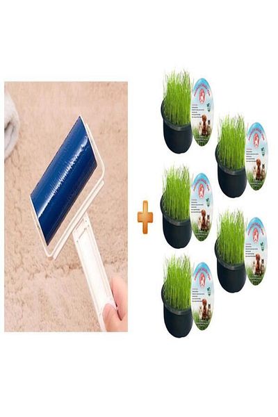 Sonrisa Pets 5-Piece Organic Cat Grass - Washable Feather and Dust Collection Roller + Sonrisa Pets