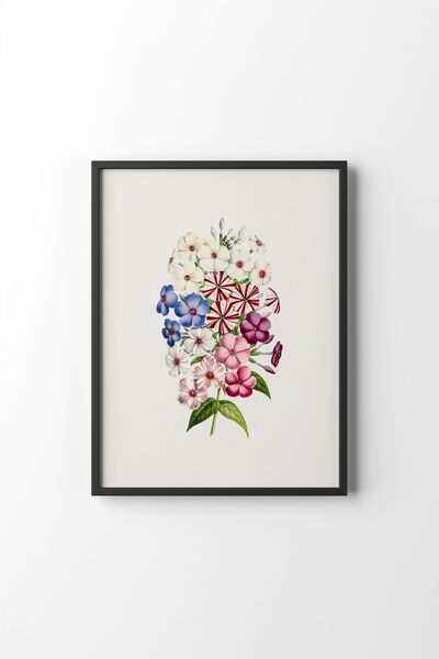 epiqart Flowers - Black Frame
