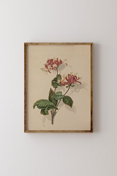 epiqart Çiçek Çizim - Ahşap Desenli Çerçeve