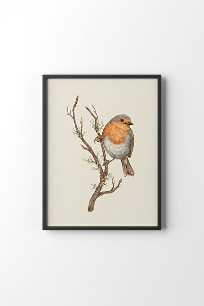 epiqart Kuş Çizim - Siyah Çerçeve