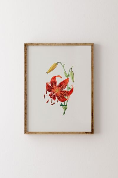 epiqart Flowers - Wooden Patterned Frame